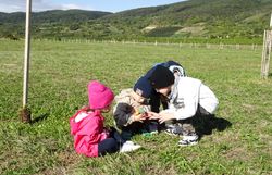 Kinder mit Becherlupen