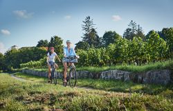 Zwei Radfahrerinnen genießen die sanften Hügel und die üppigen Weinreben der Umgebung. Der Sommer in den Wienerwald ist ein Fest für die Sinne, wo die frische Luft und die malerische Landschaft zu unvergesslichen Erlebnissen einladen.
