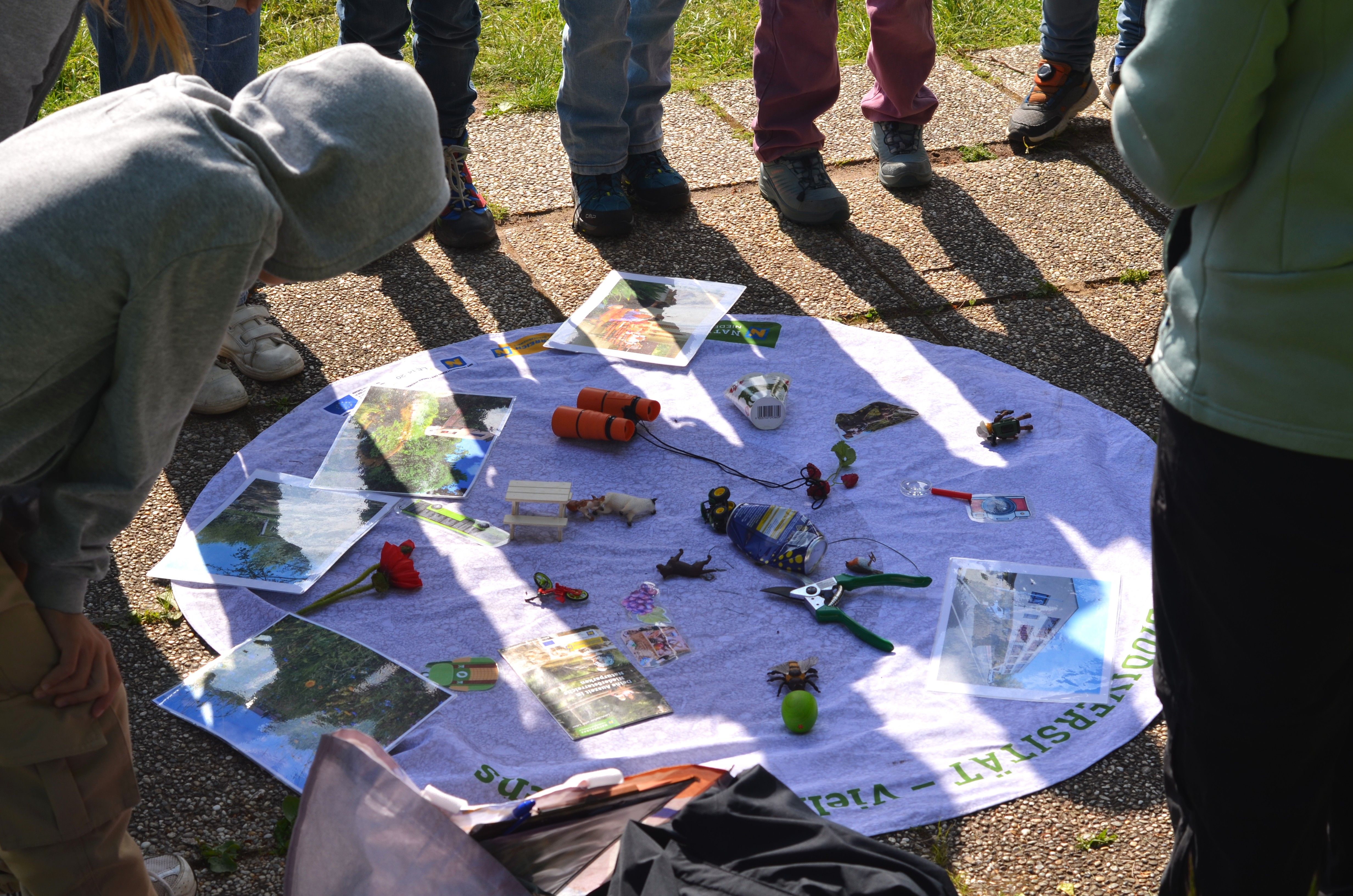 Kinder betrachten Anschauungsmaterial auf Decke.