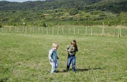 Kinder mit Becherlupen