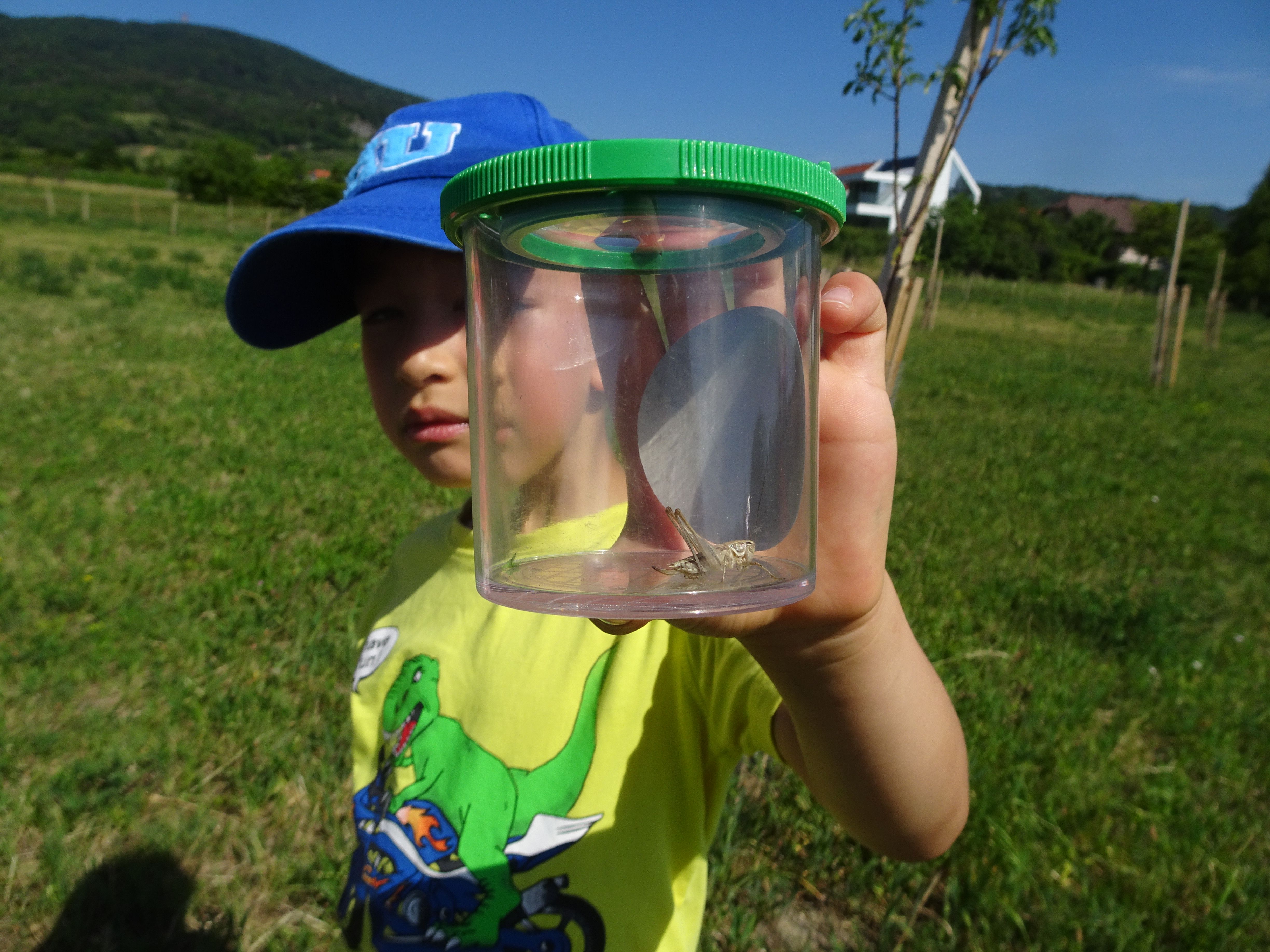 Kind mit Becherlupe