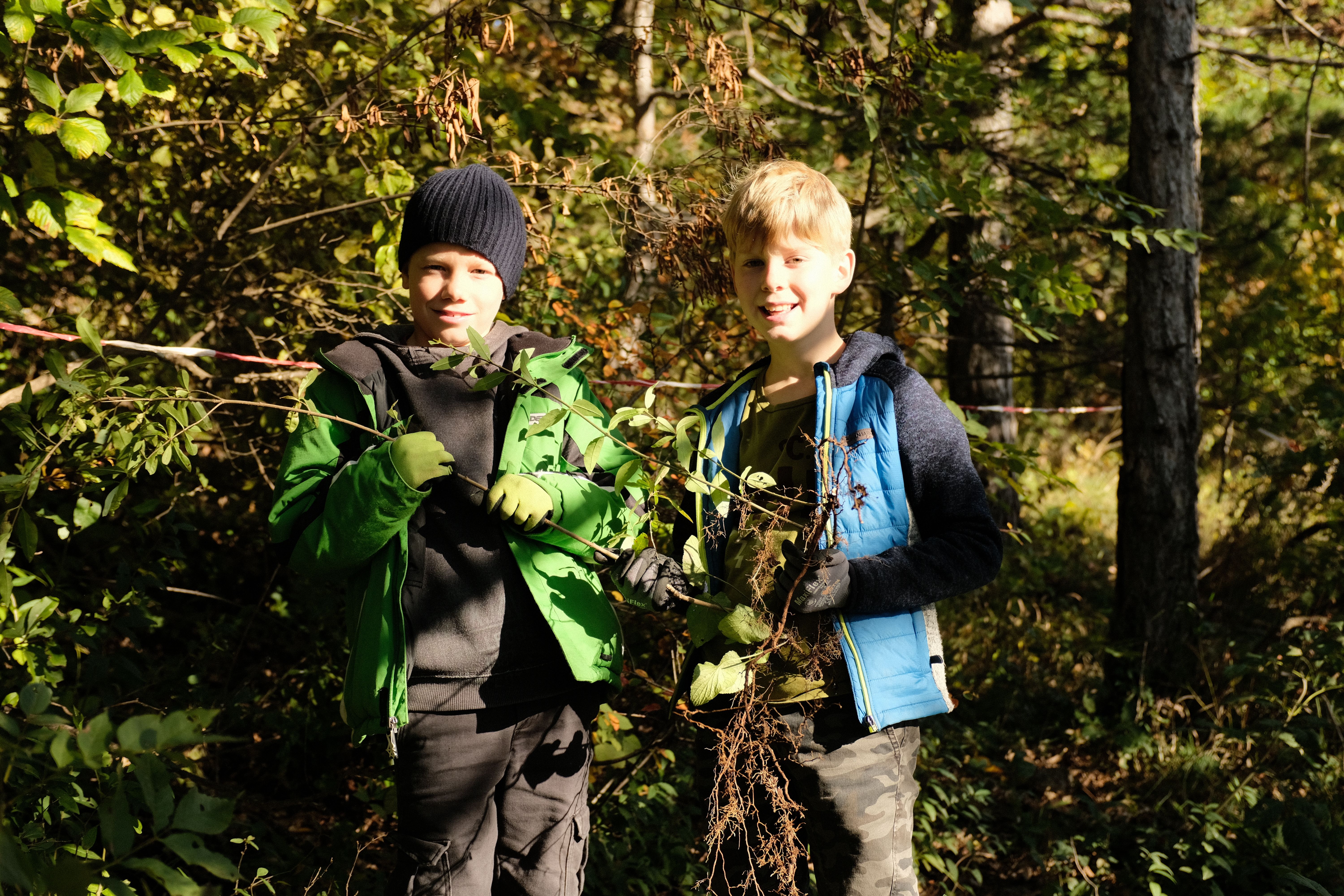 Schüler präsentieren stolz ihre von der Flächen entfernten Liguster (Ligustrum vulgare)
