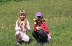 Kinder bei der Suche nach Insekten mit Becherlupen
