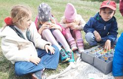 Kinder bestaunen die gefundenen Insekten