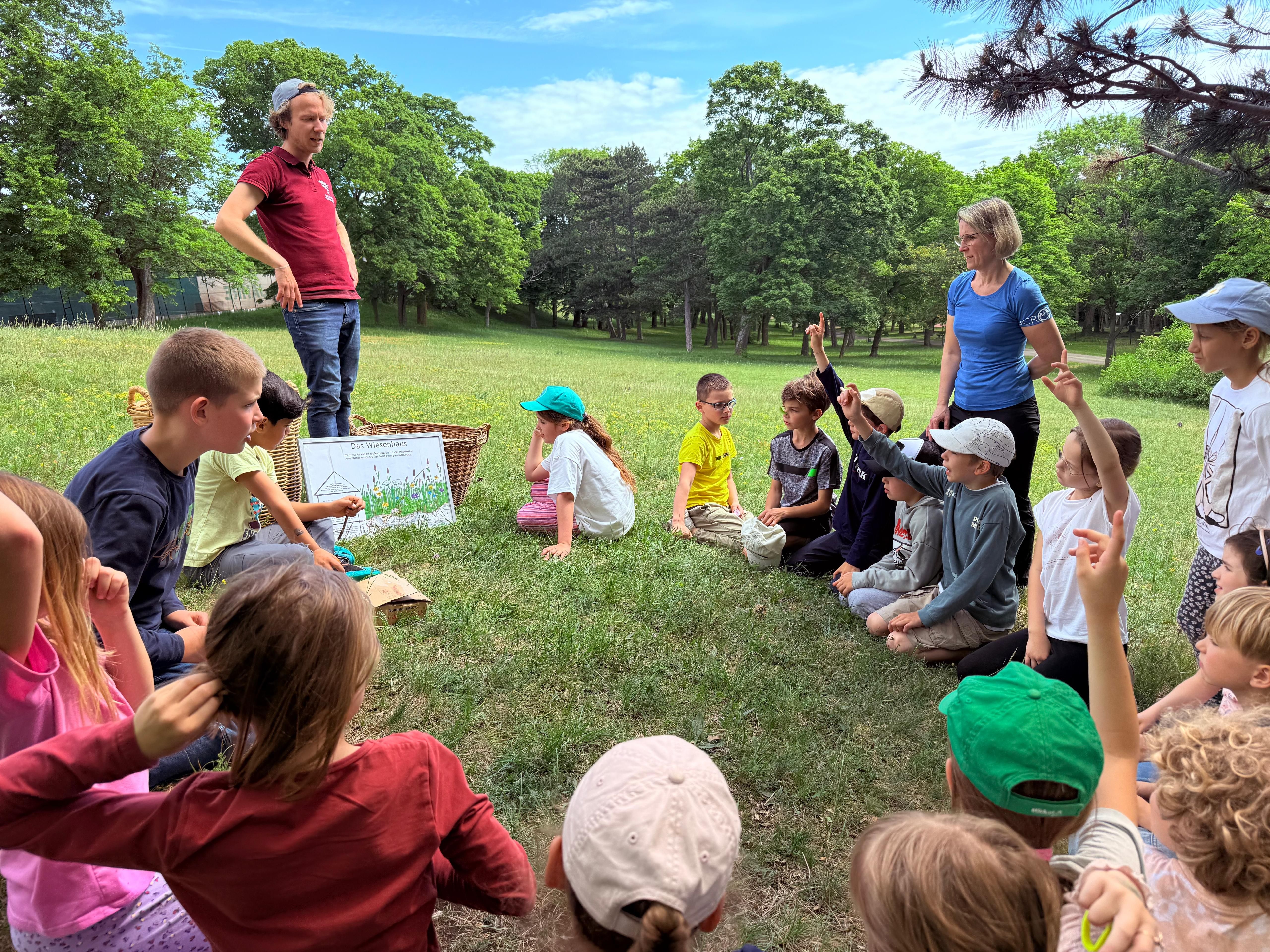 Kinder sitzen im Kreis und besprchen die "Wiesen-Stockwerke"