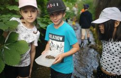 Kinder mit Keschern in Dürren Liesing