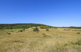 Perchtoldsdorfer Heide, © BPWW/N. Novak