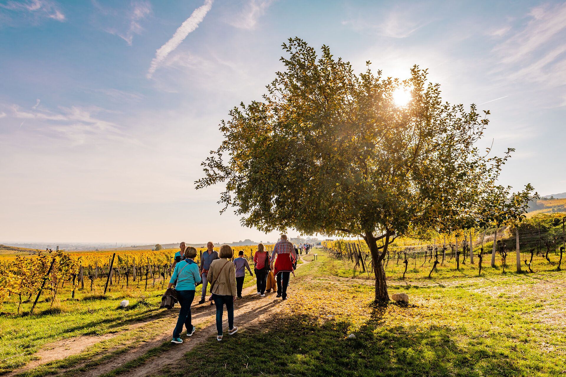 In der goldenen Herbstsonne schlendern fröhliche Besucher durch die malerischen Weinberge, umgeben von leuchtend bunten Blättern. Der Duft von frischem Wein und die herzliche Atmosphäre laden dazu ein, die regionalen Köstlichkeiten zu genießen und die Schönheit der Natur zu erleben.