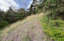 Trockenrasen am Frauenstein