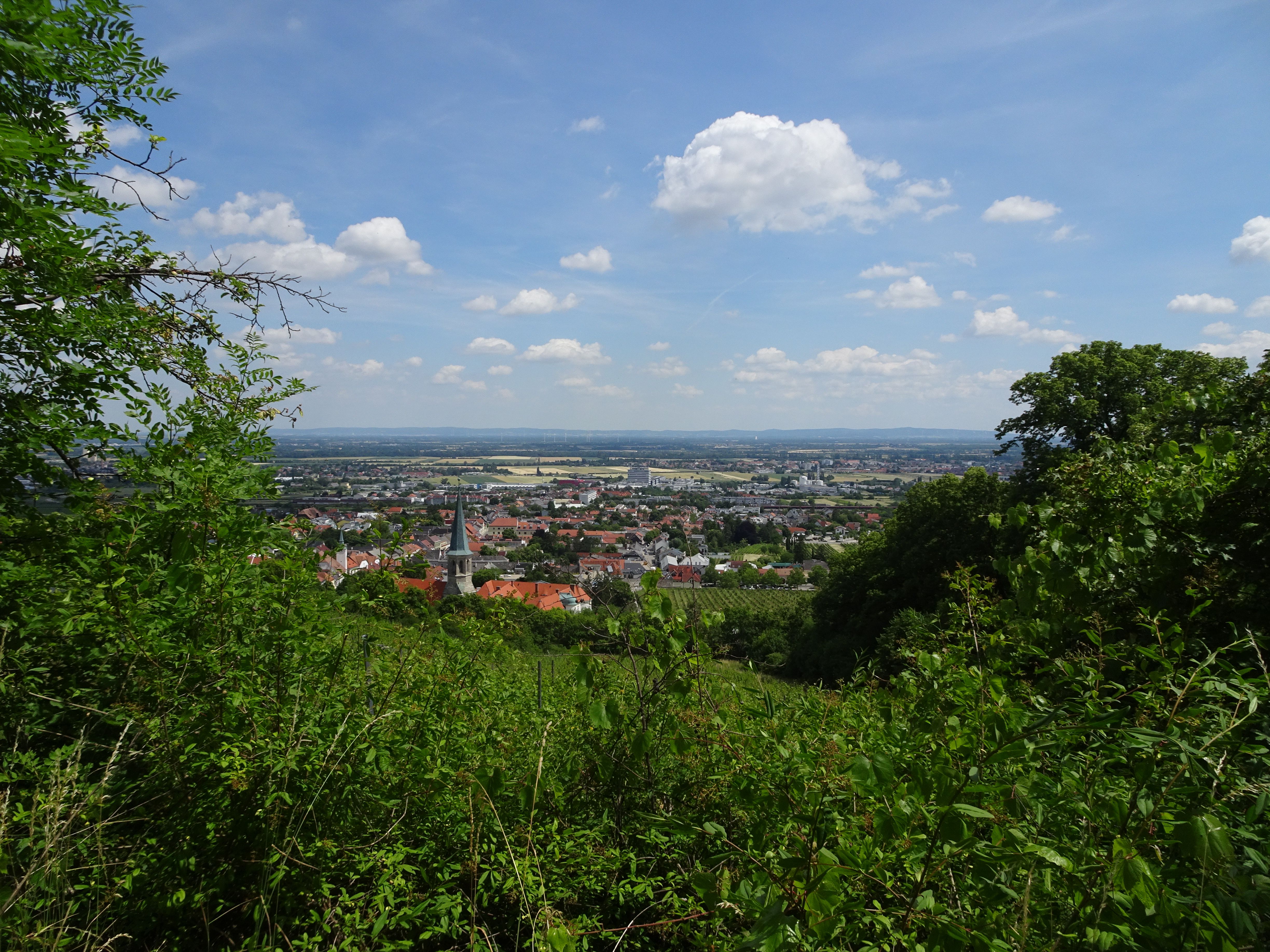 Ausblick über Gumpoldskirchen