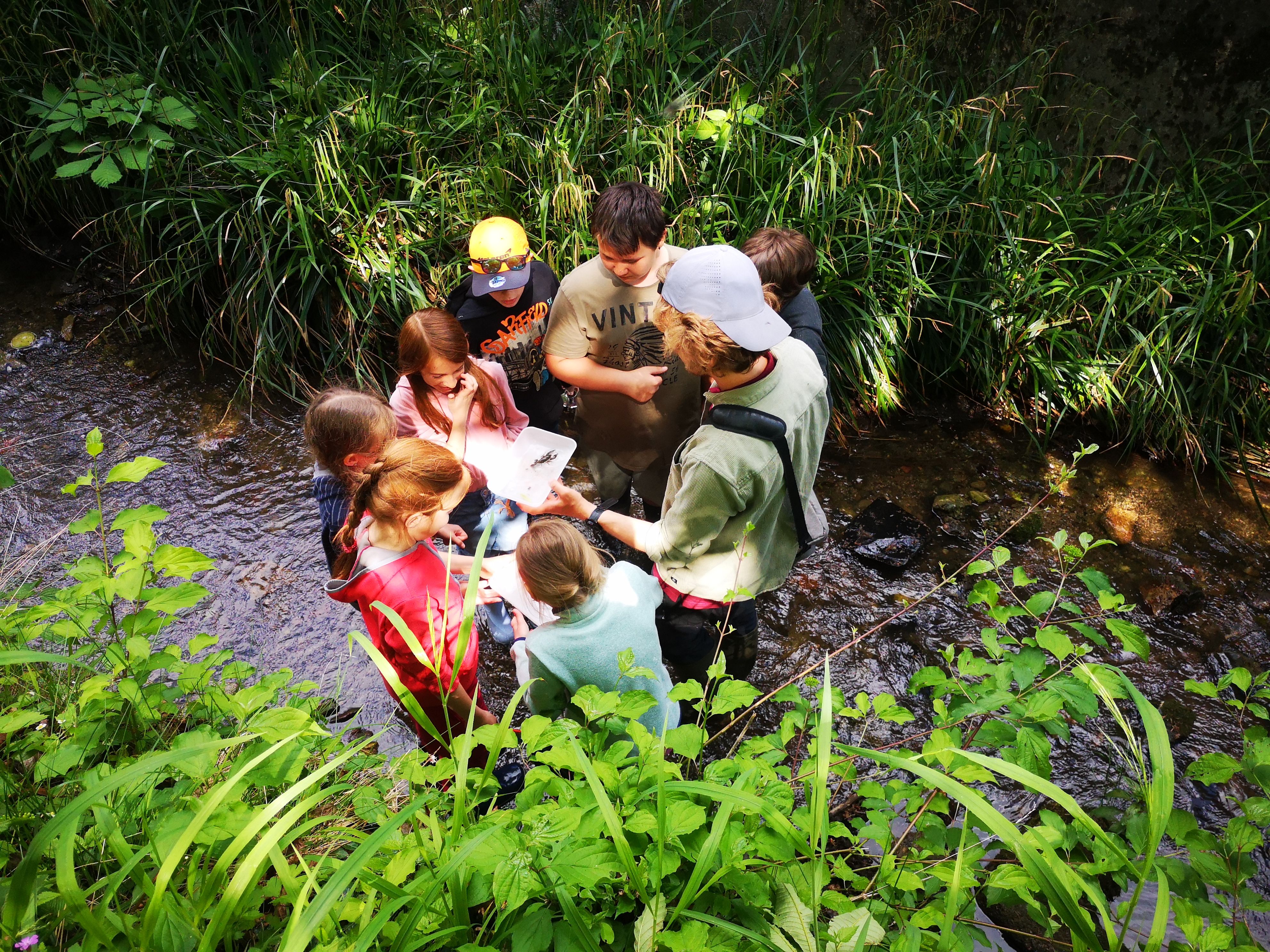 Naturvermittler mit Kindern in der Dürren Liesing