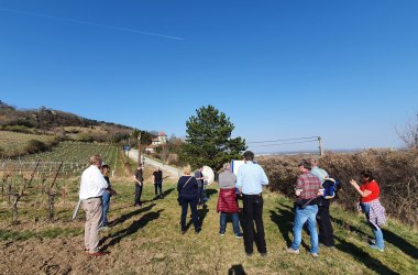 Unterwegs im Naturpark, © BPWW/N. Kovacs