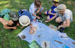 Kinder bestaunen und bestimmen Funde