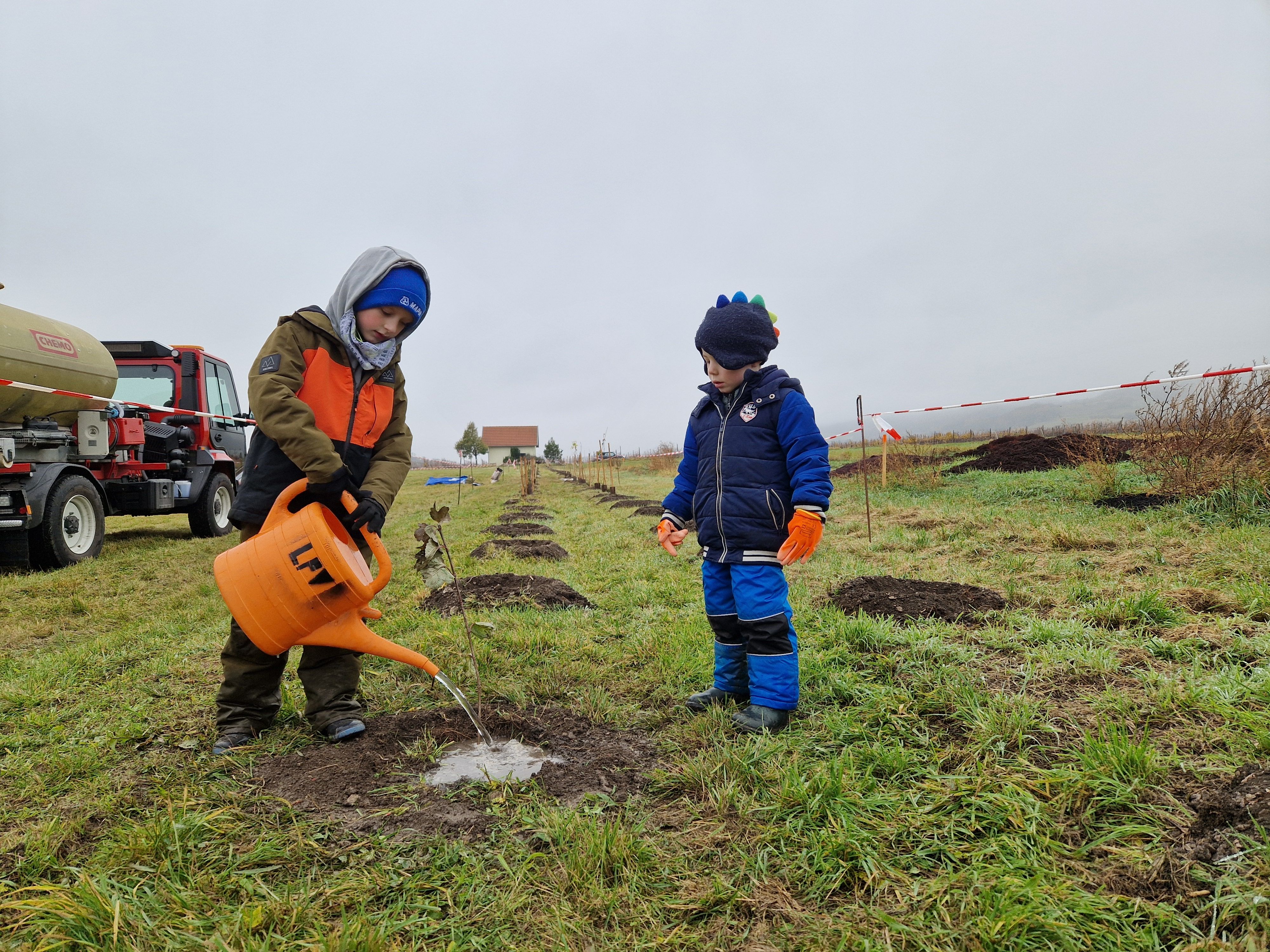 Kinder gießen die eingepflanzten Heckenpflanzen.