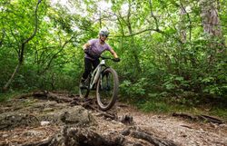 Ein Mountainbiker meistert mit Geschick die herausfordernden Wurzeln und Steine auf dem Husarentempel Trail. Umgeben von üppigem Grün und dem sanften Licht der Sonne, spürt man die Freiheit und den Adrenalinkick der Natur. Diese Region lädt Abenteurer ein, die Schönheit des Wienerwaldes auf zwei Rädern zu erkunden.