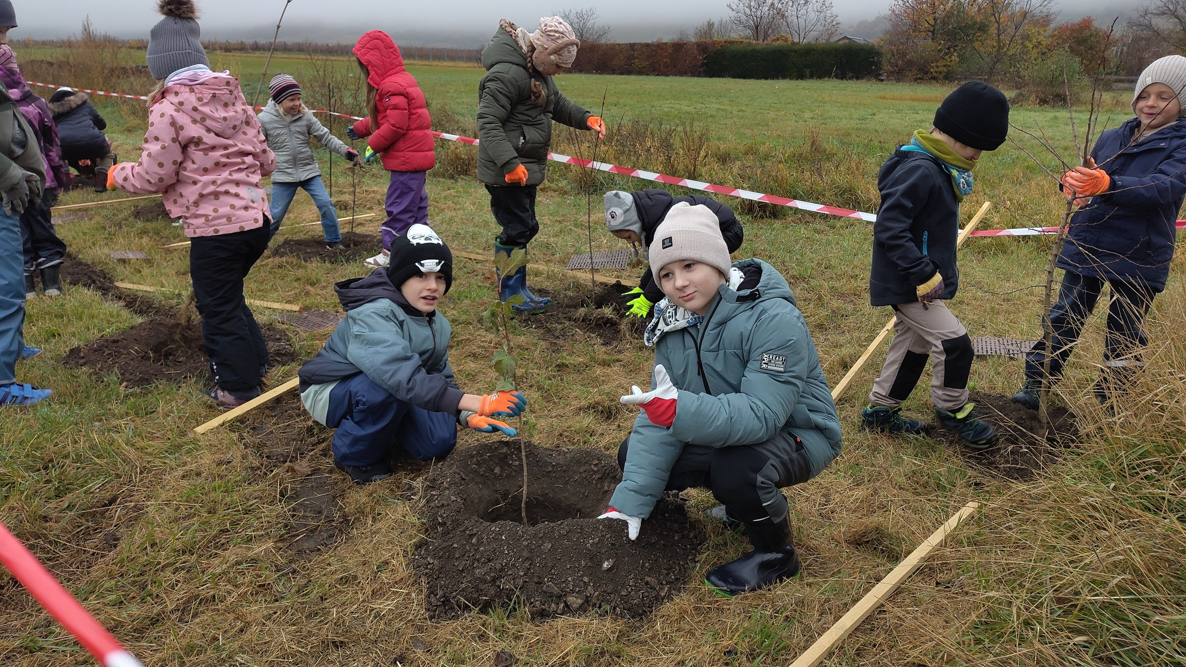 Kinder pflanzen junge Gehölze in vorgegrabene Löcher.
