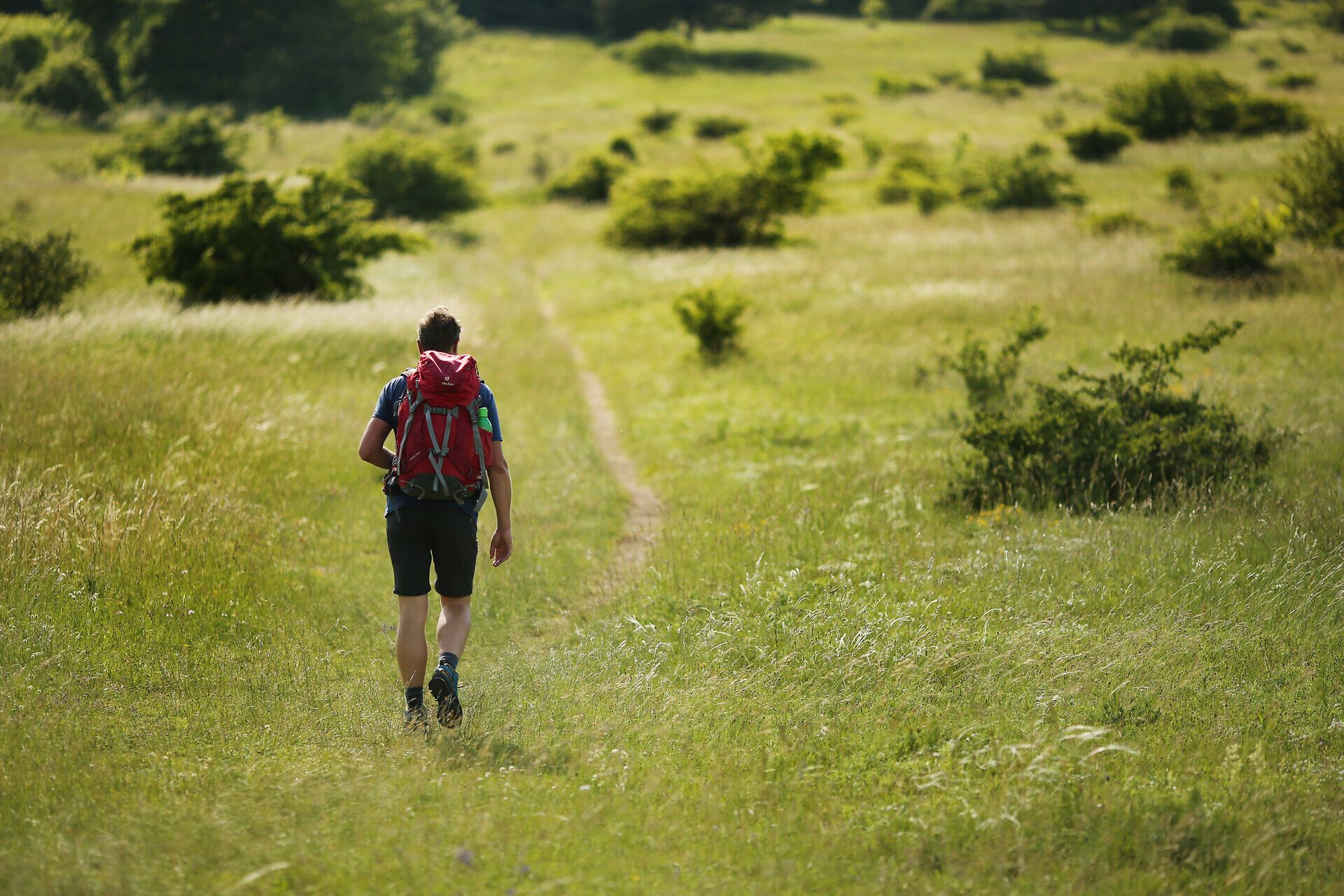 Ein Wanderer durchquert die sanften Hügel, umgeben von üppigem Grün und dem Duft blühender Wildblumen. Die ruhige Atmosphäre lädt dazu ein, die Seele baumeln zu lassen und die Schönheit der Natur zu genießen. Hier, wo der Wiener Wallfahrerweg verläuft, wird jeder Schritt zu einem Erlebnis der Besinnung und Erholung.