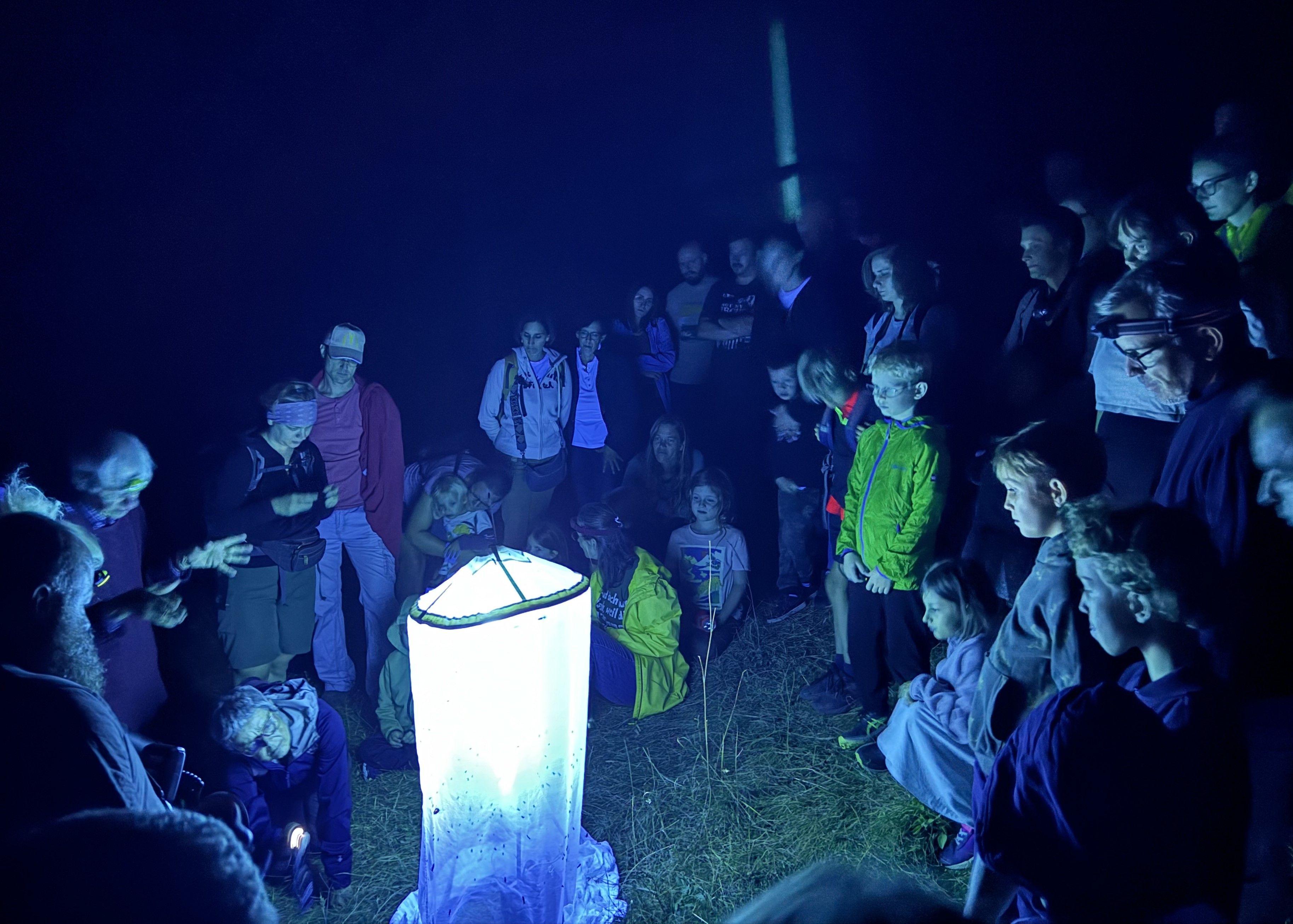 Mit einem "Leuchtturm" lockt Schmetterlings-Experte Peter Buchner Insekten der Nacht an.