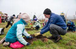 Naturvermittler unterstützt die Schüler:innen bei der Pflanzung der Gehölze.