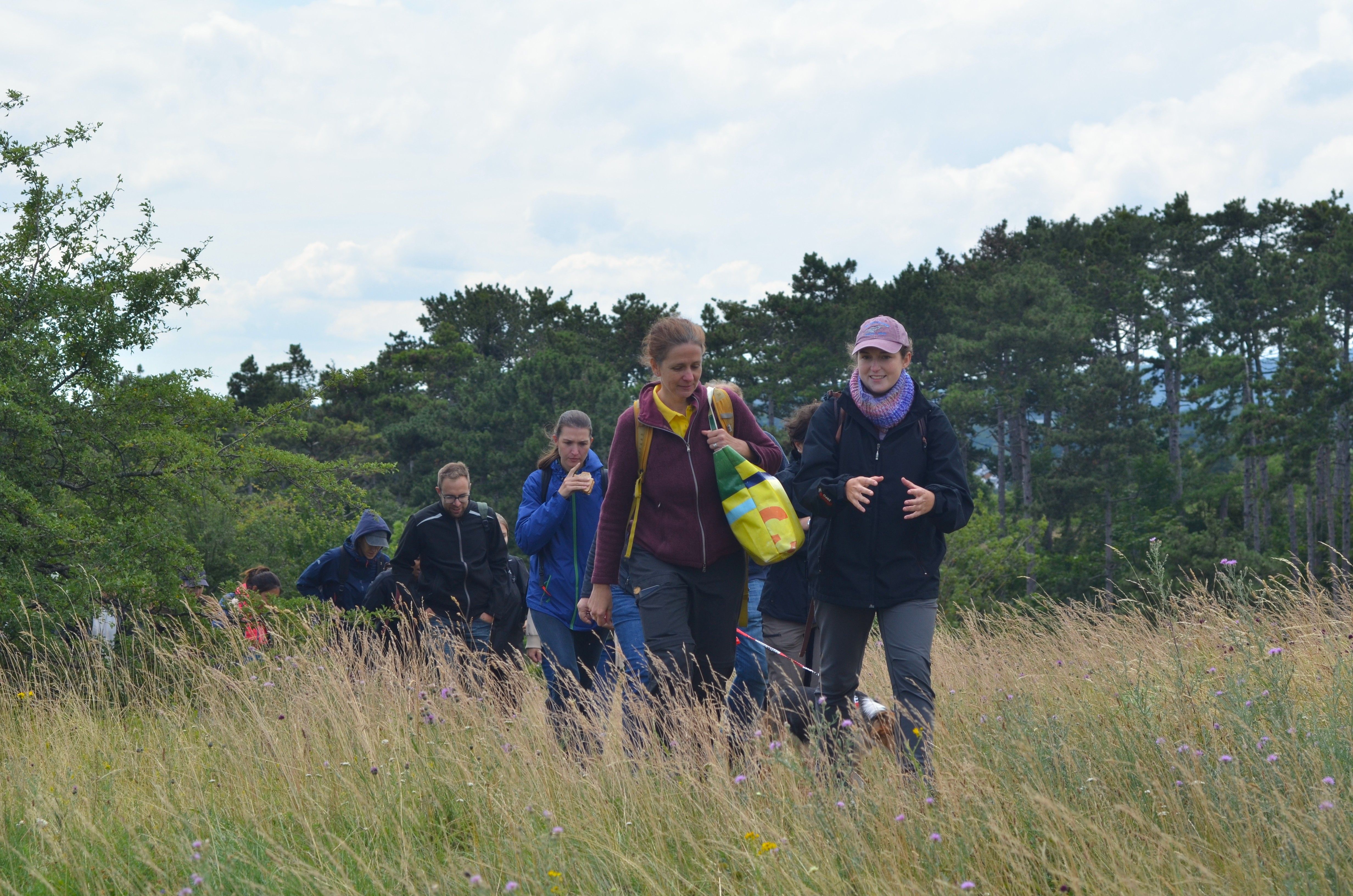 Teilnehmer:innen spazieren über die Perchtoldsdorfer Heide