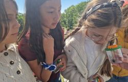 Kinder bestaunen gefundene Feldgrille