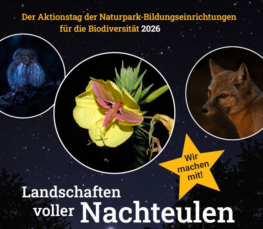 Flyer für den Aktionstag "Landschaften voller Nachteulen" des Verbands der Naturparke Österreich