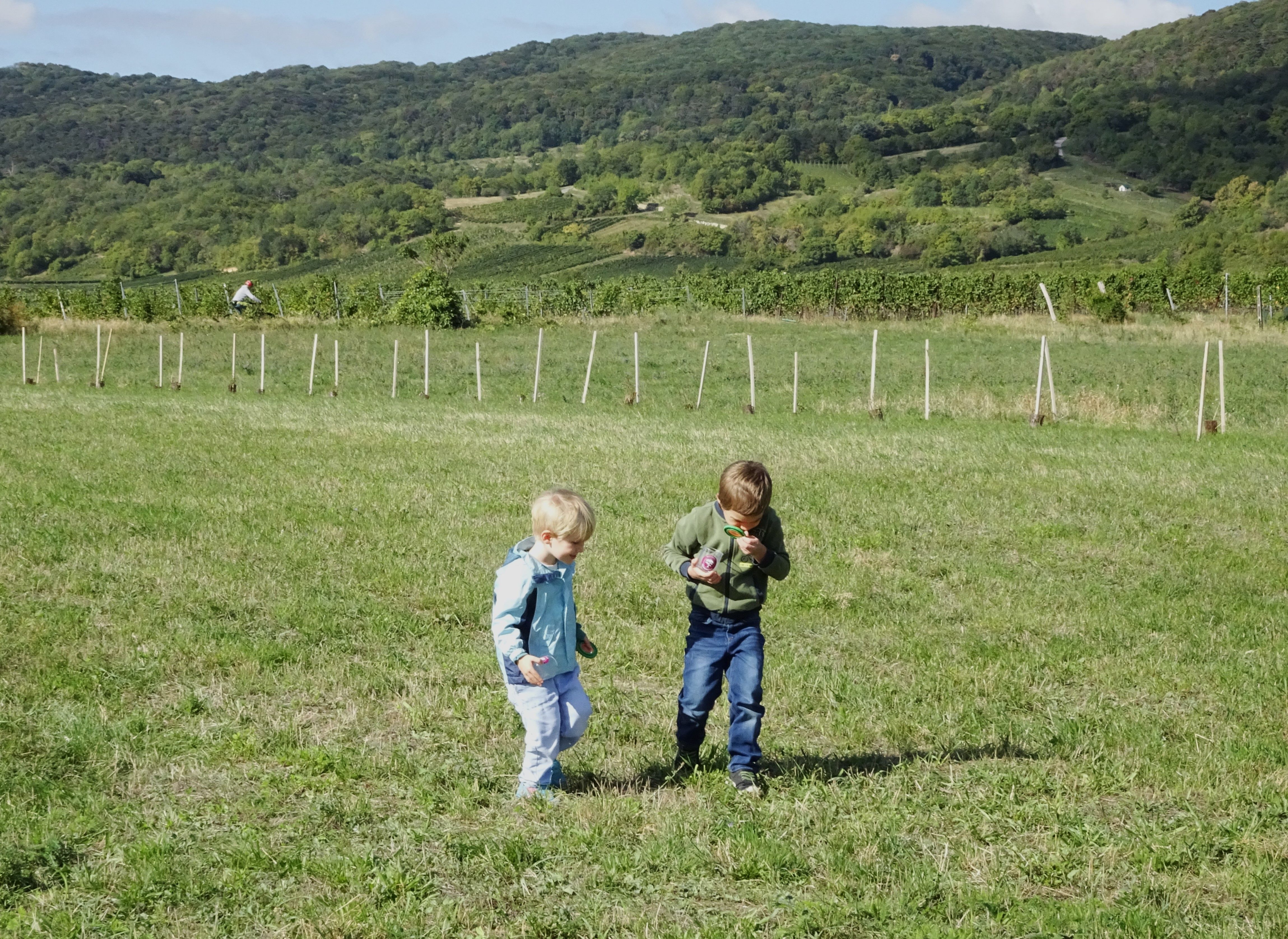 Kinder mit Becherlupen