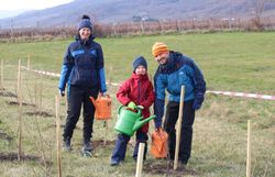 Familie gießt ihre eingepflanzten Heckenpflanzen.