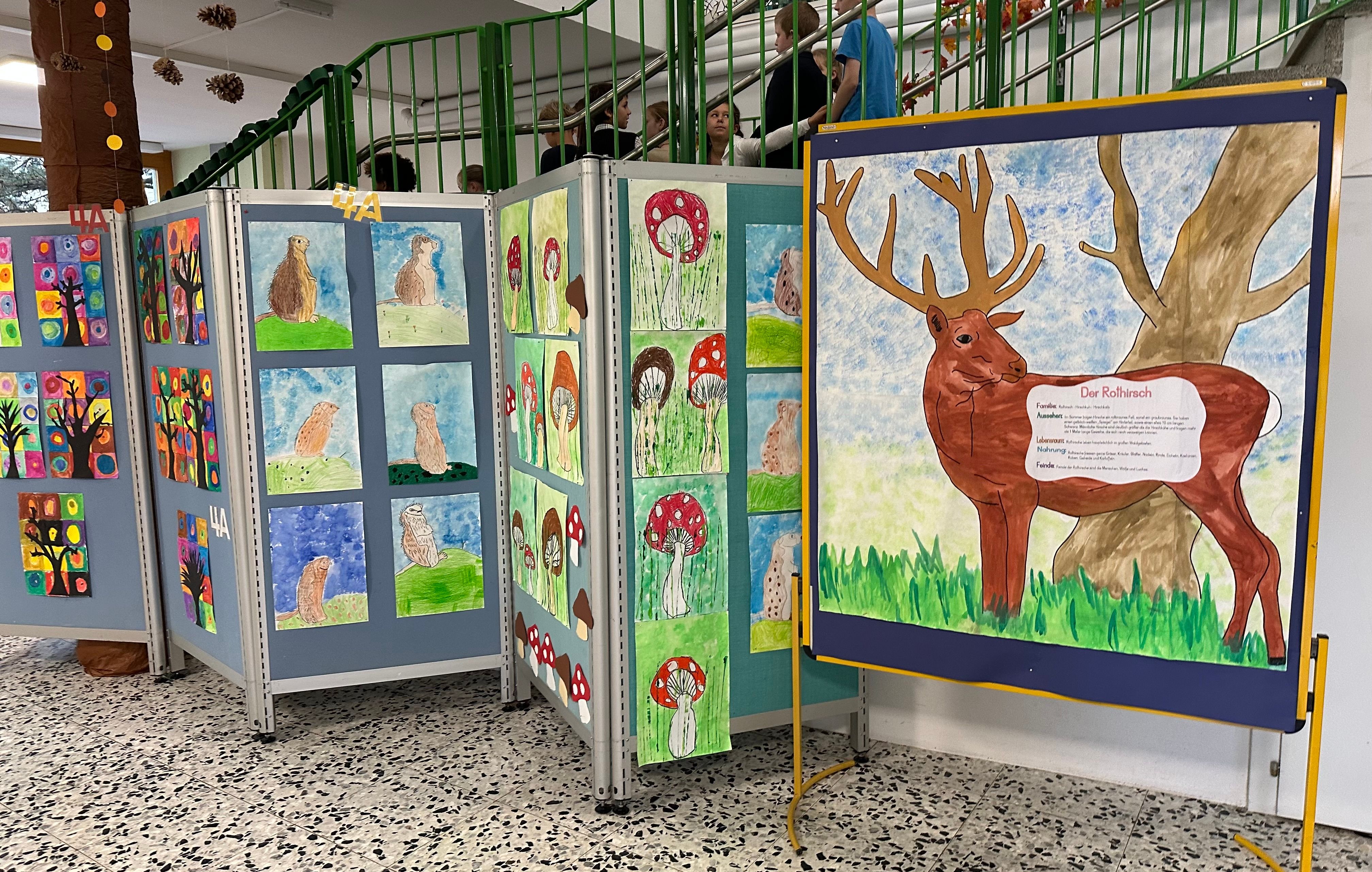 Zeichnungen der Schulkinder von Waldtieren in der Ausstellung.