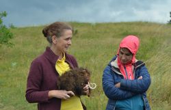 Irene Drozdowski (Freunde der Perchtoldsdorfer Heide)