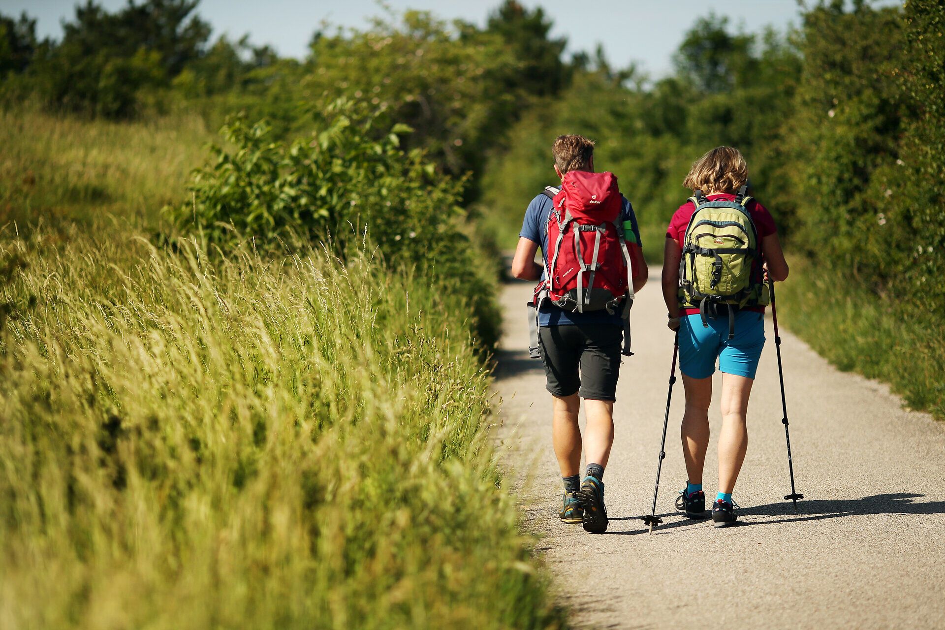 Zwei Wanderer genießen die frische Luft und die malerische Landschaft auf ihrem Weg durch die sanften Hügel. Umgeben von üppigem Grün und dem sanften Rauschen des Windes, erleben sie die Ruhe und Schönheit der Natur. Diese Pilgerwanderung bietet nicht nur körperliche Ertüchtigung, sondern auch eine spirituelle Auszeit.