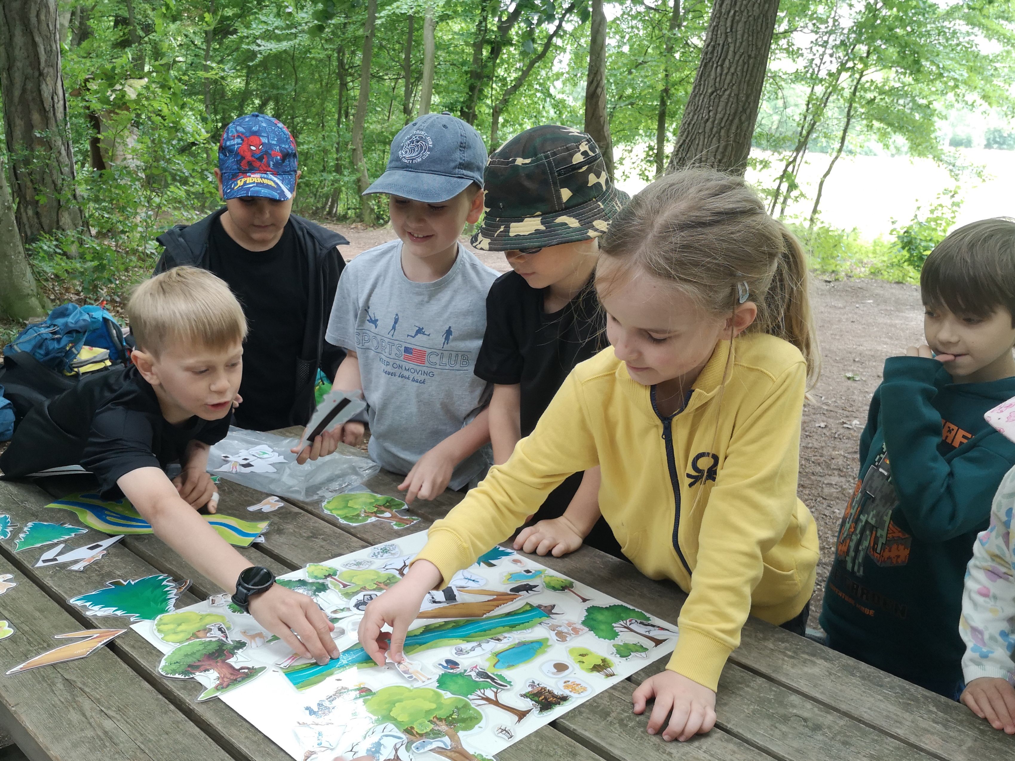 Kinder ordnen Wald-Magnettafel