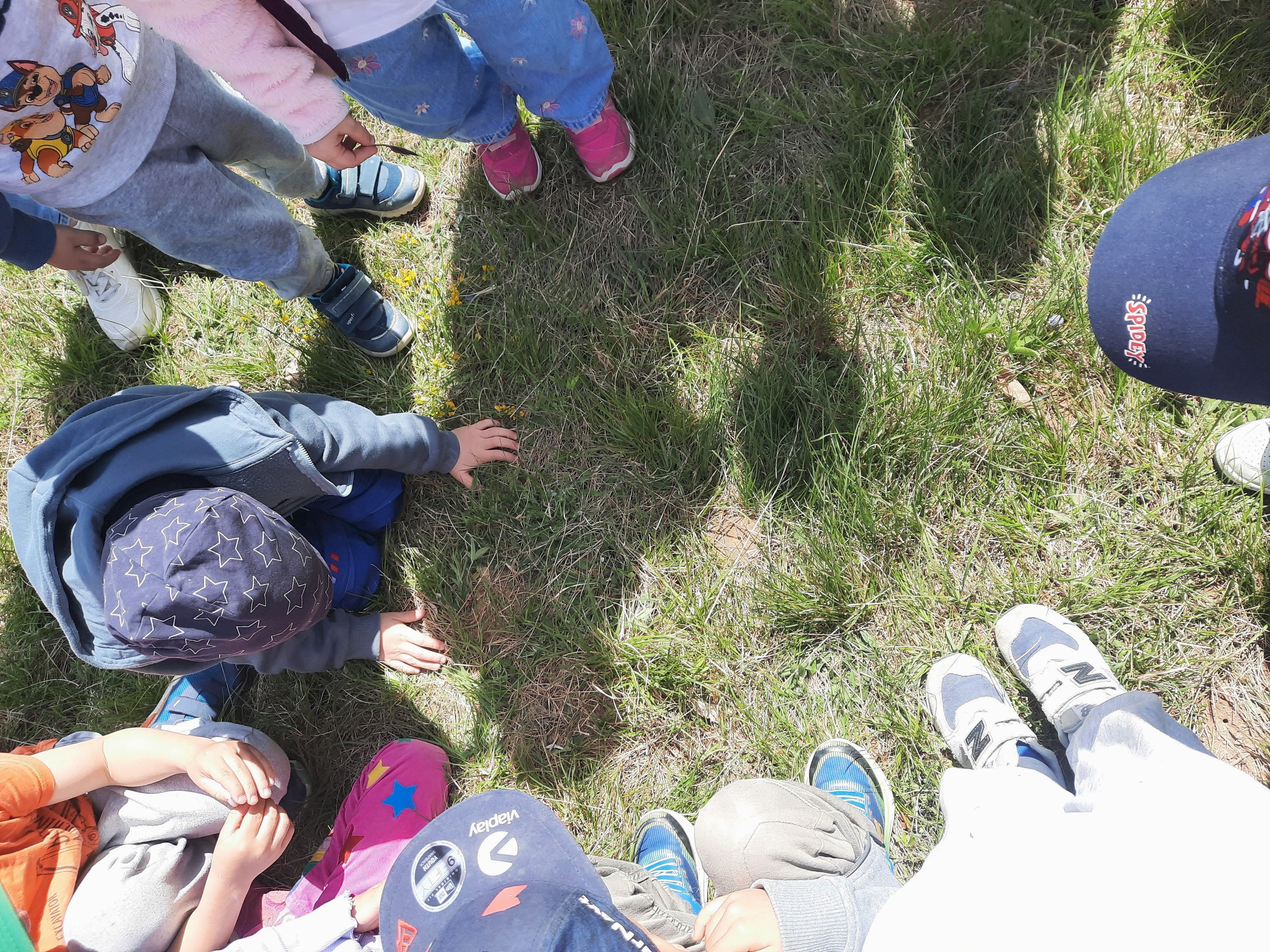 Kinder beobachten ein Erdloch, ob eine Biene herraus kommt.