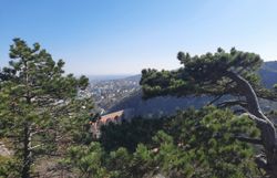 Ausblick vom Kalenderberg nach Mödling