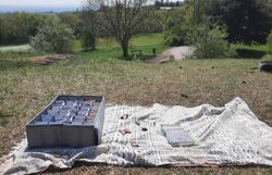 Bildungsmaterial (Becherlupen + Plastik-Insekten) im Einsatz auf der Gießhübler Heide