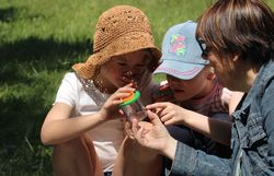 Kinder beobachten Insekten im Becherlupenglas